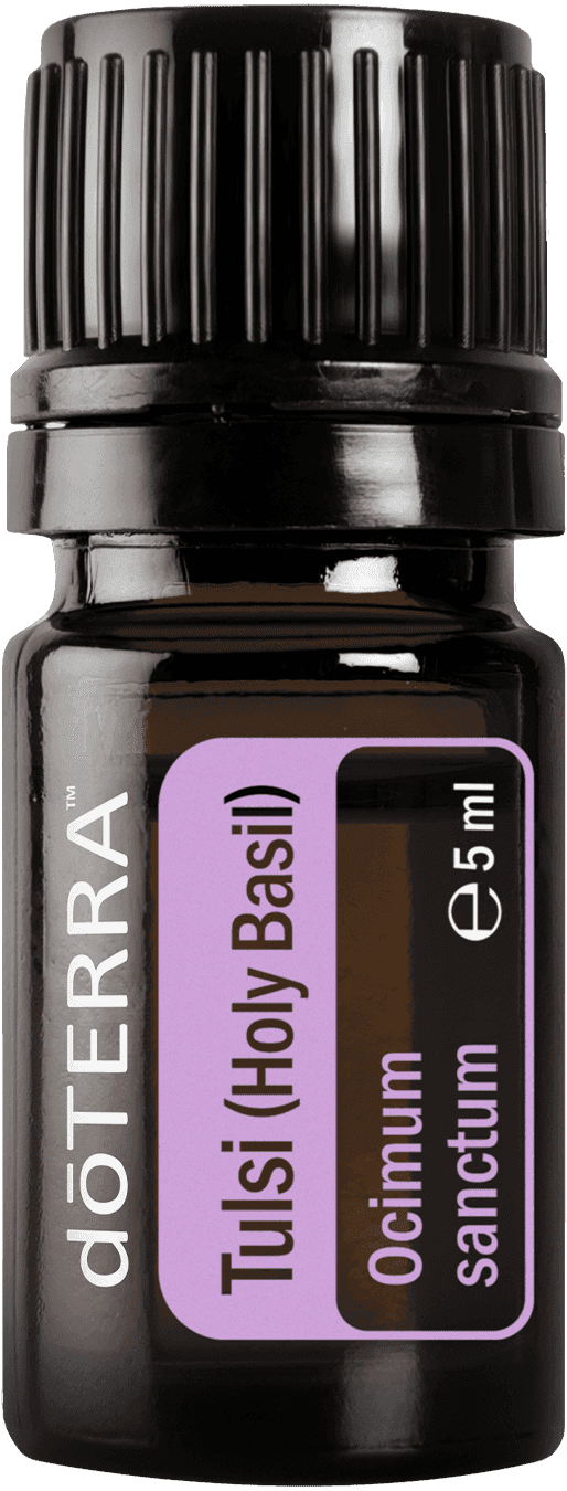 doTERRA Tulsi (bazylia święta), olejek eteryczny