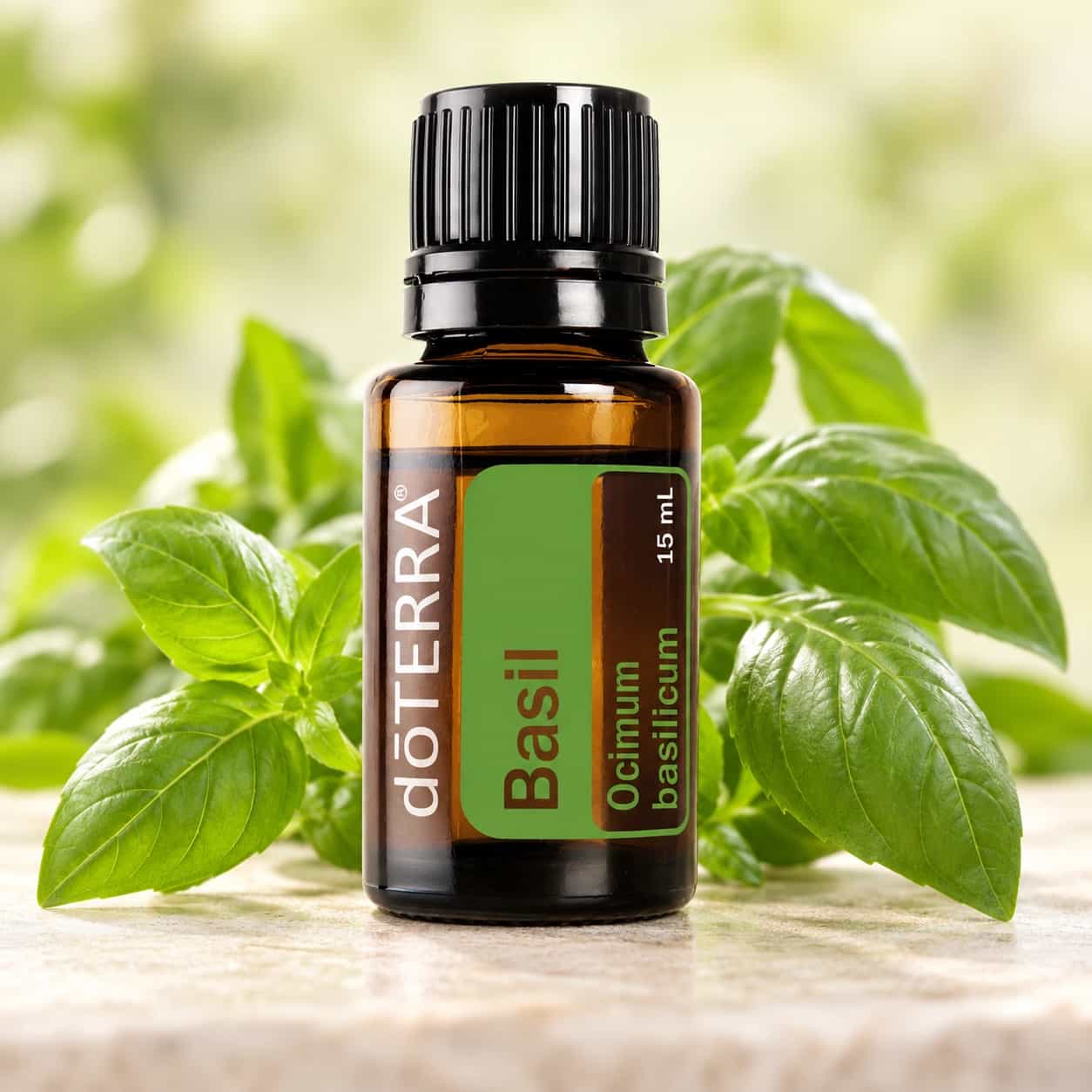 doTERRA Bazalka – esenciálny olej (Ocimum basilicum) 15 ml
