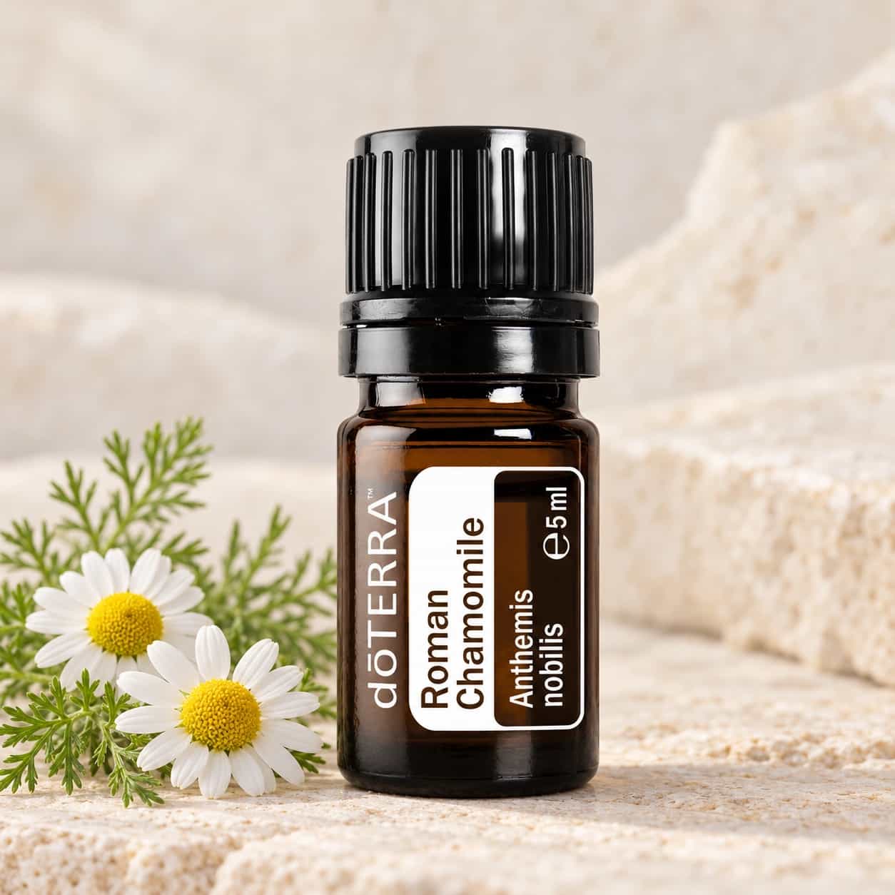 dōTERRA Rímsky harmanček – esenciálny olej (Anthemis nobilis) 5 ml