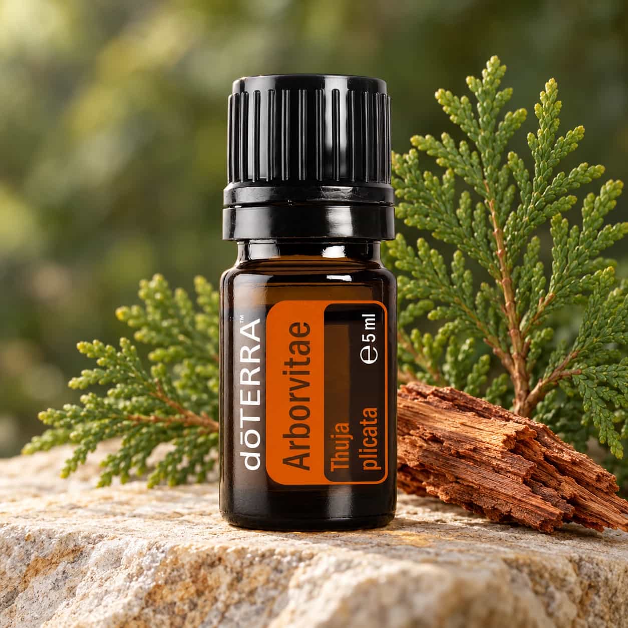 doTERRA Esenciálny olej Arborvitae (tuja riasnatá) 5 ml