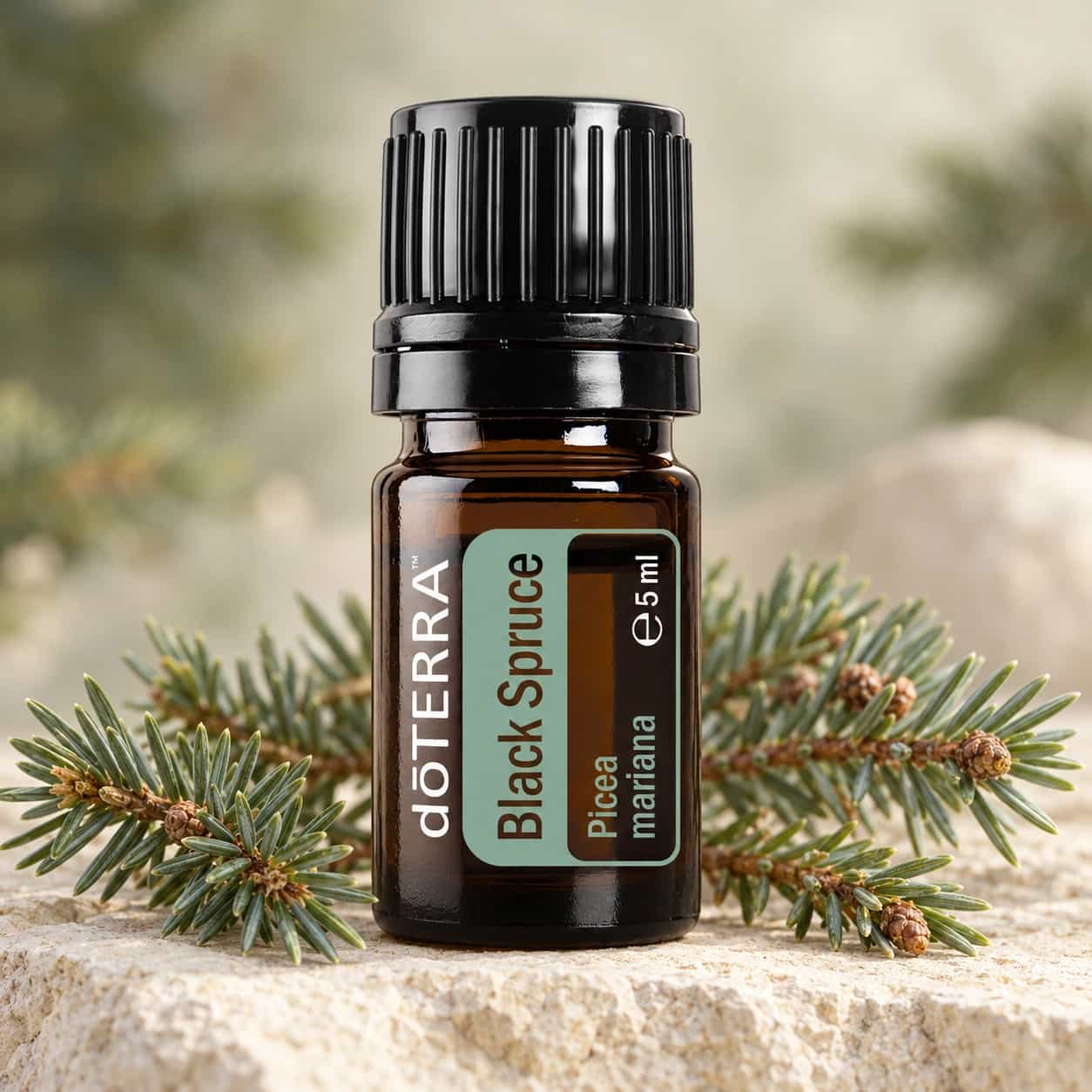 doTERRA Black Spruce (smrek čierny), esenciálny olej 5 ml