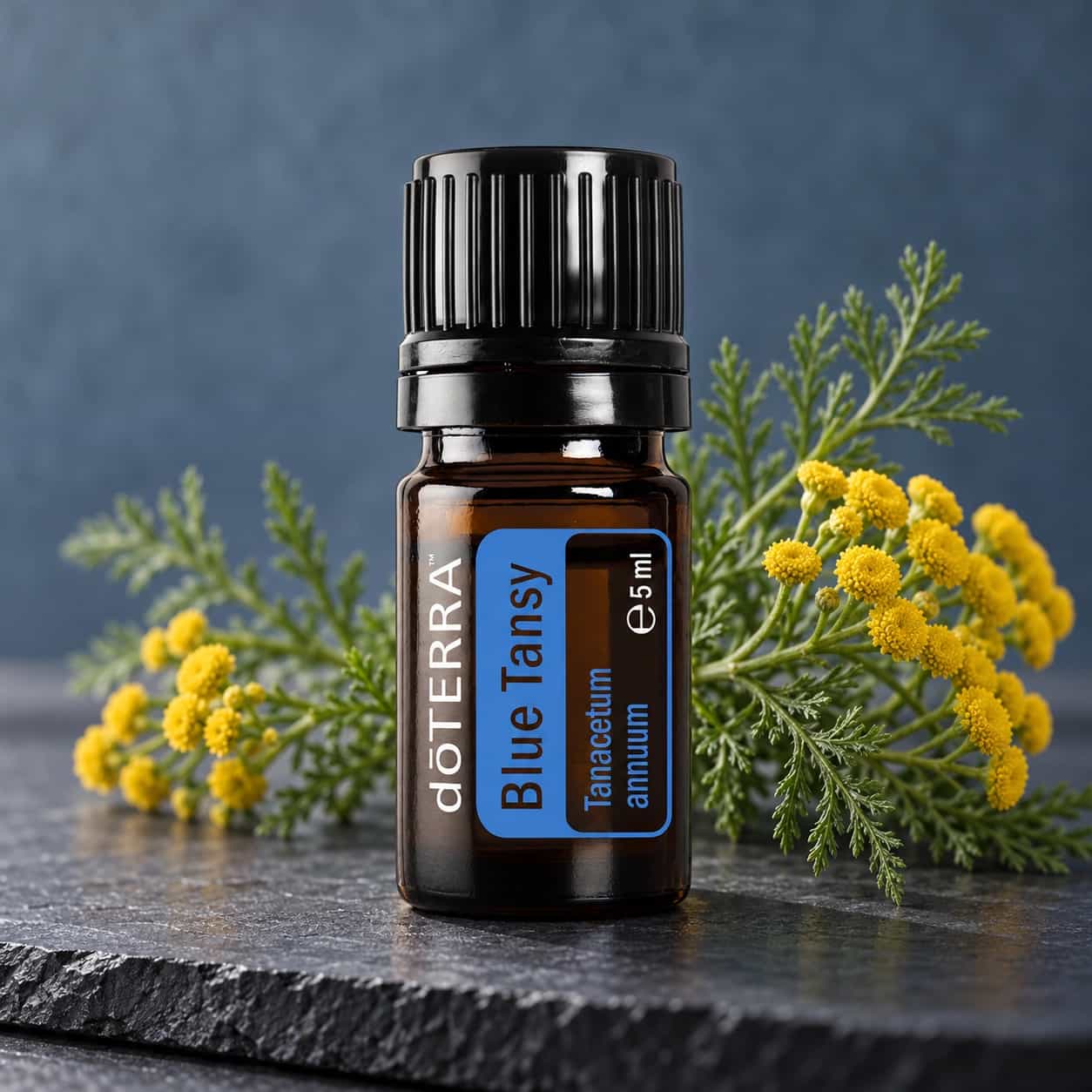doTERRA Blue Tansy (vratič modrý), esenciálny olej 5 ml
