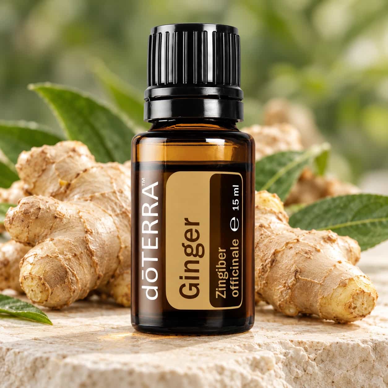 doTERRA Ginger (zázvor), esenciálny olej 15 ml