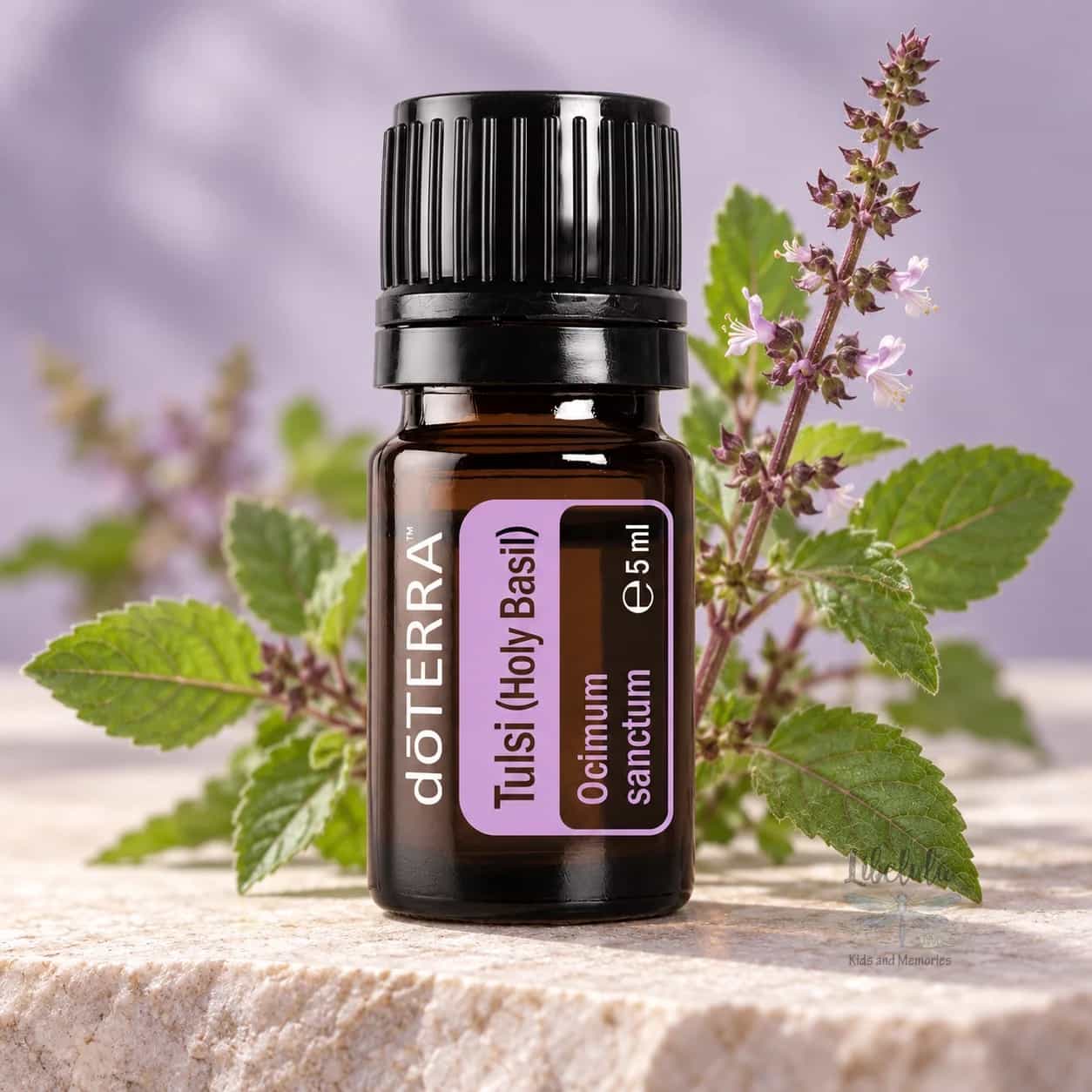 doTERRA Tulsi (bazalka posvätná), esenciálny olej