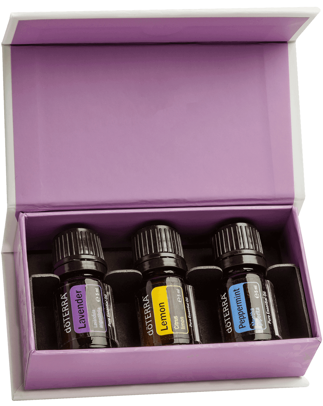 doTERRA Introductory Kit — lavande, citron, menthe poivrée, 3 × 5 ml