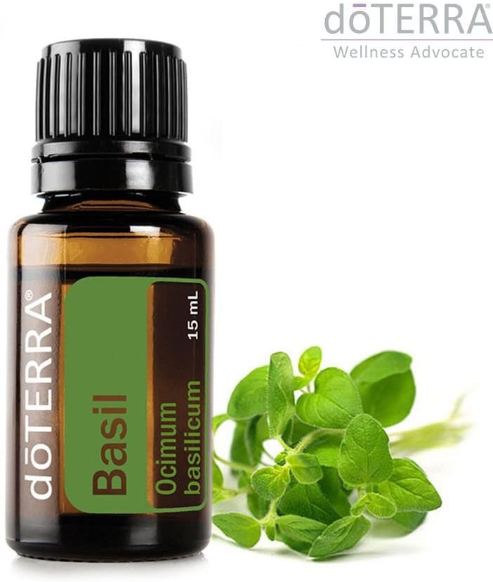 doTERRA Basilic – huile essentielle (Ocimum basilicum) 15 ml