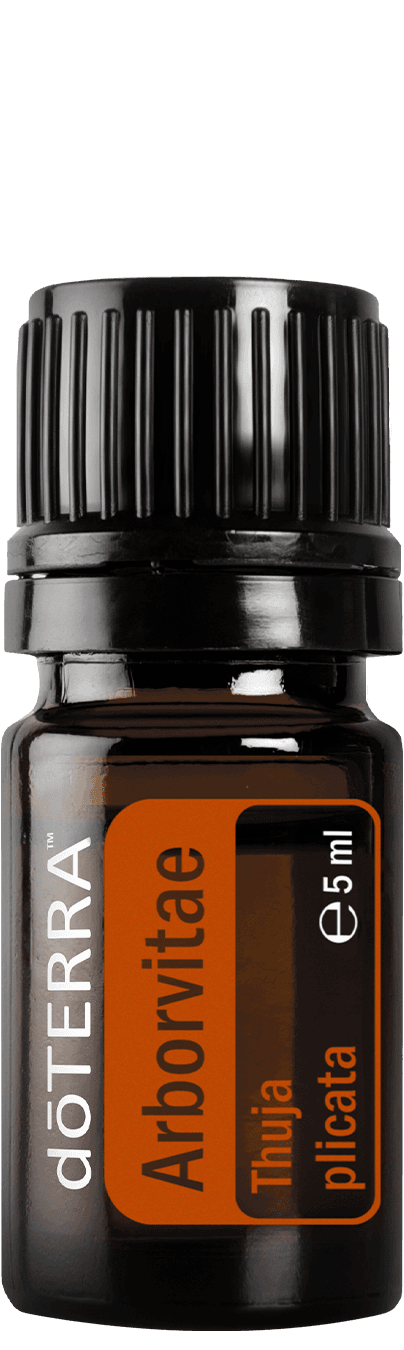doTERRA Arborvitae (Riesen-Lebensbaum) ätherisches Öl 5 ml