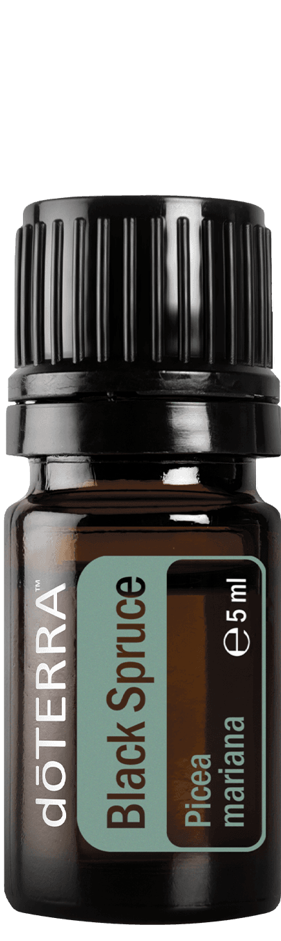 doTERRA Black Spruce (épinette noire), huile essentielle 5 ml
