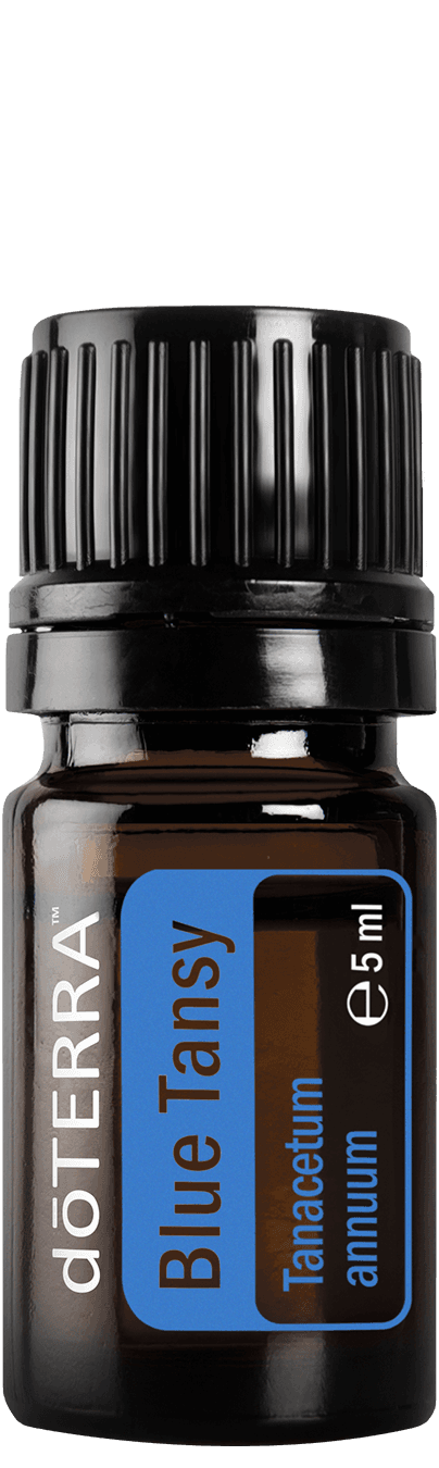 doTERRA Blue Tansy (vratič modrý), esenciálny olej 5 ml