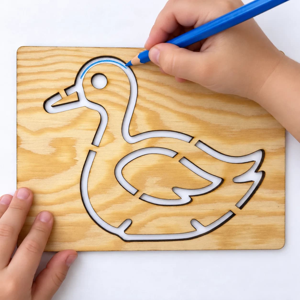 Zeichenschablone Vögel – Schwan