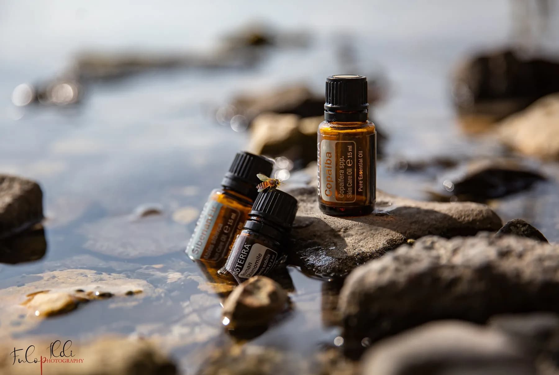 dōTERRA Heřmánek římský – esenciální olej (Anthemis nobilis) 5 ml