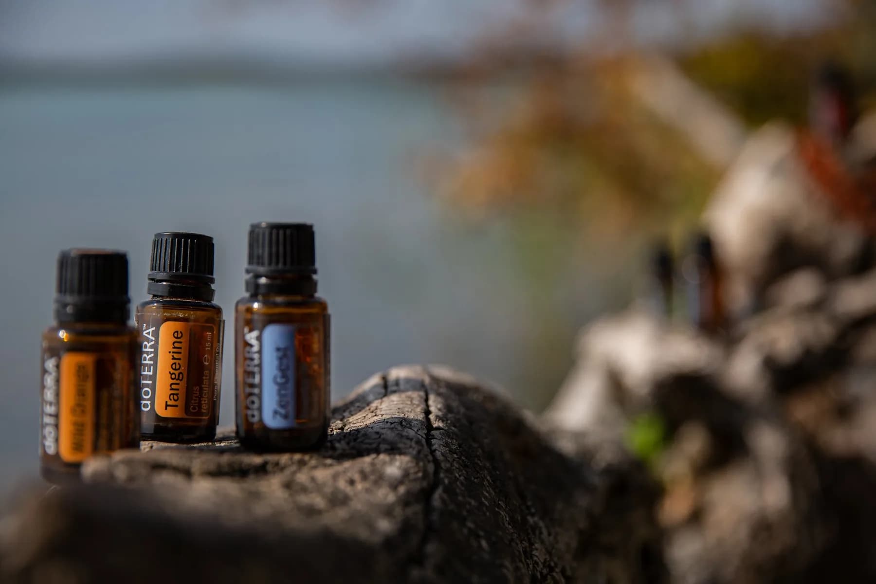 doTERRA ZenGest, amestec de uleiuri esențiale 15 ml