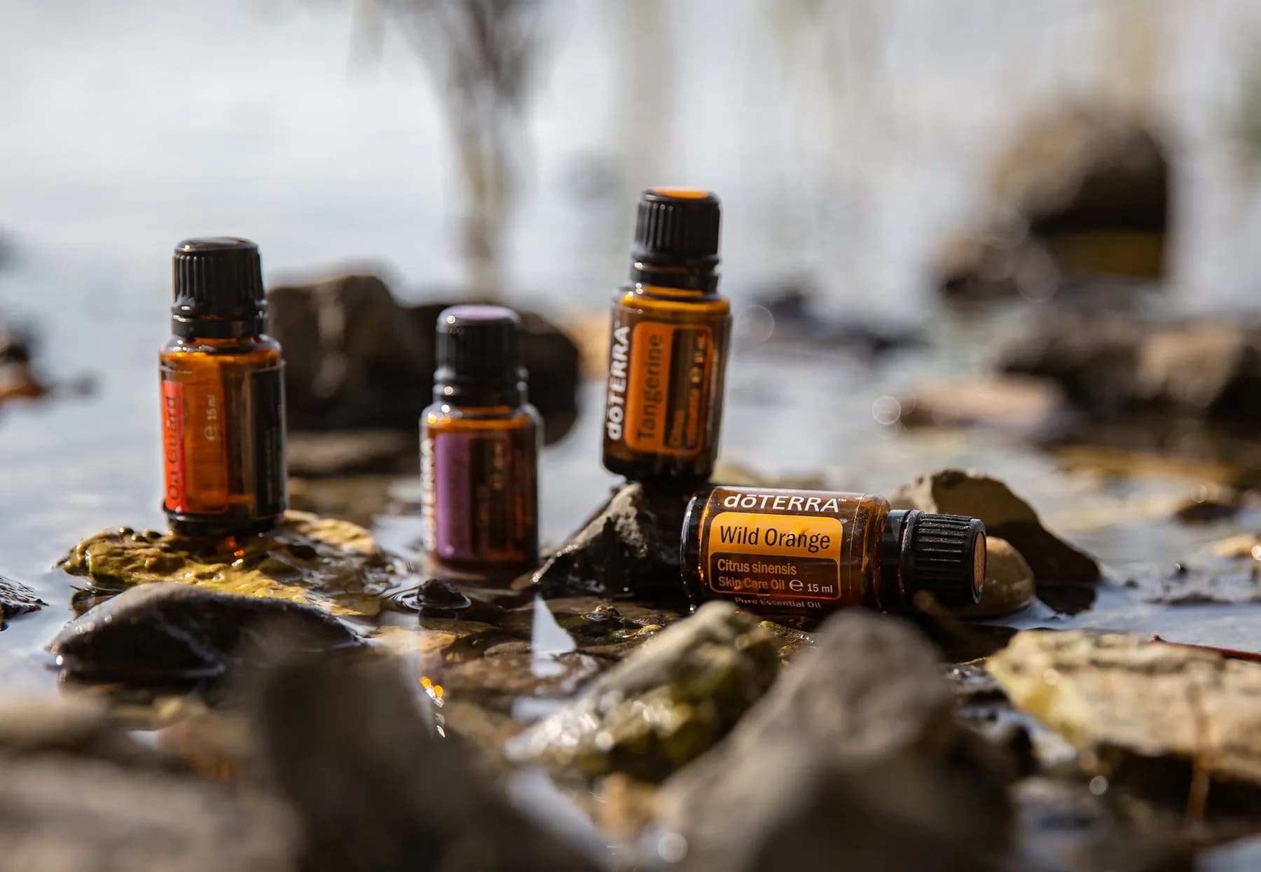 Wilde Orange (Wild Orange), ätherisches Öl 15 ml
