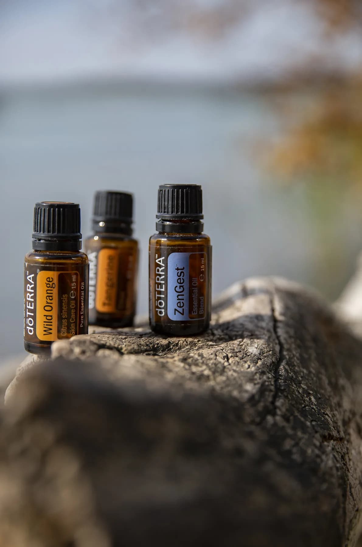 Wilde Orange (Wild Orange), ätherisches Öl 15 ml