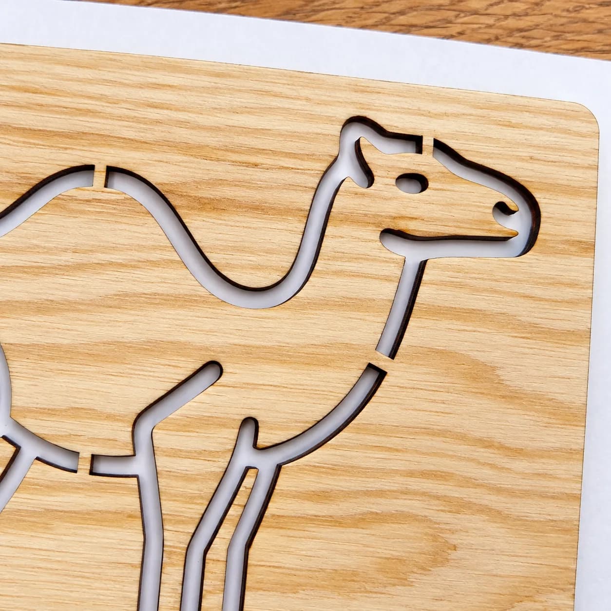 Pochoir à dessiner – Safari : Chameau