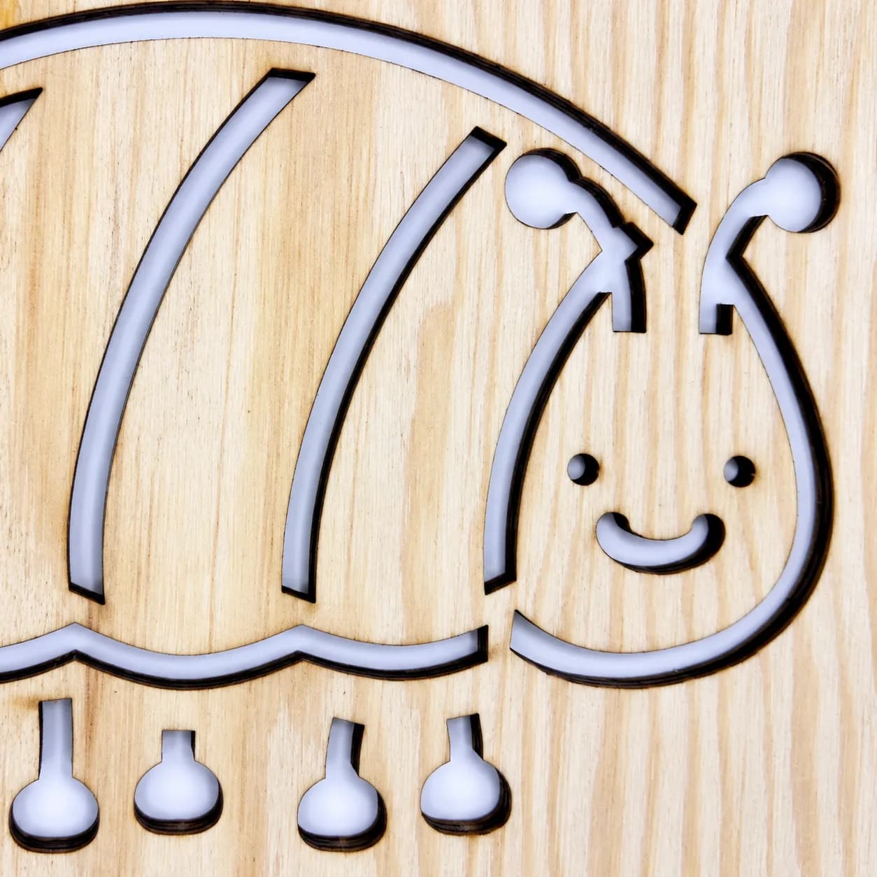 Šablona na kreslení Broučci, šnečci a červíci – Stínka obecná