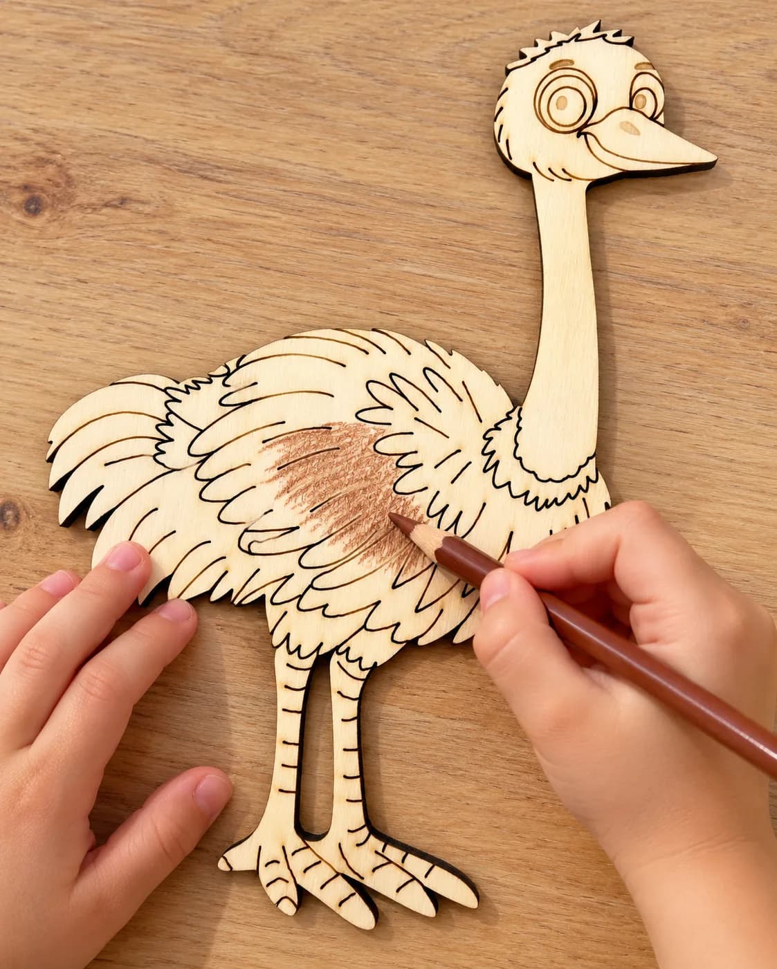 PaintMe – Drevená omaľovánka – Safari – Pštros