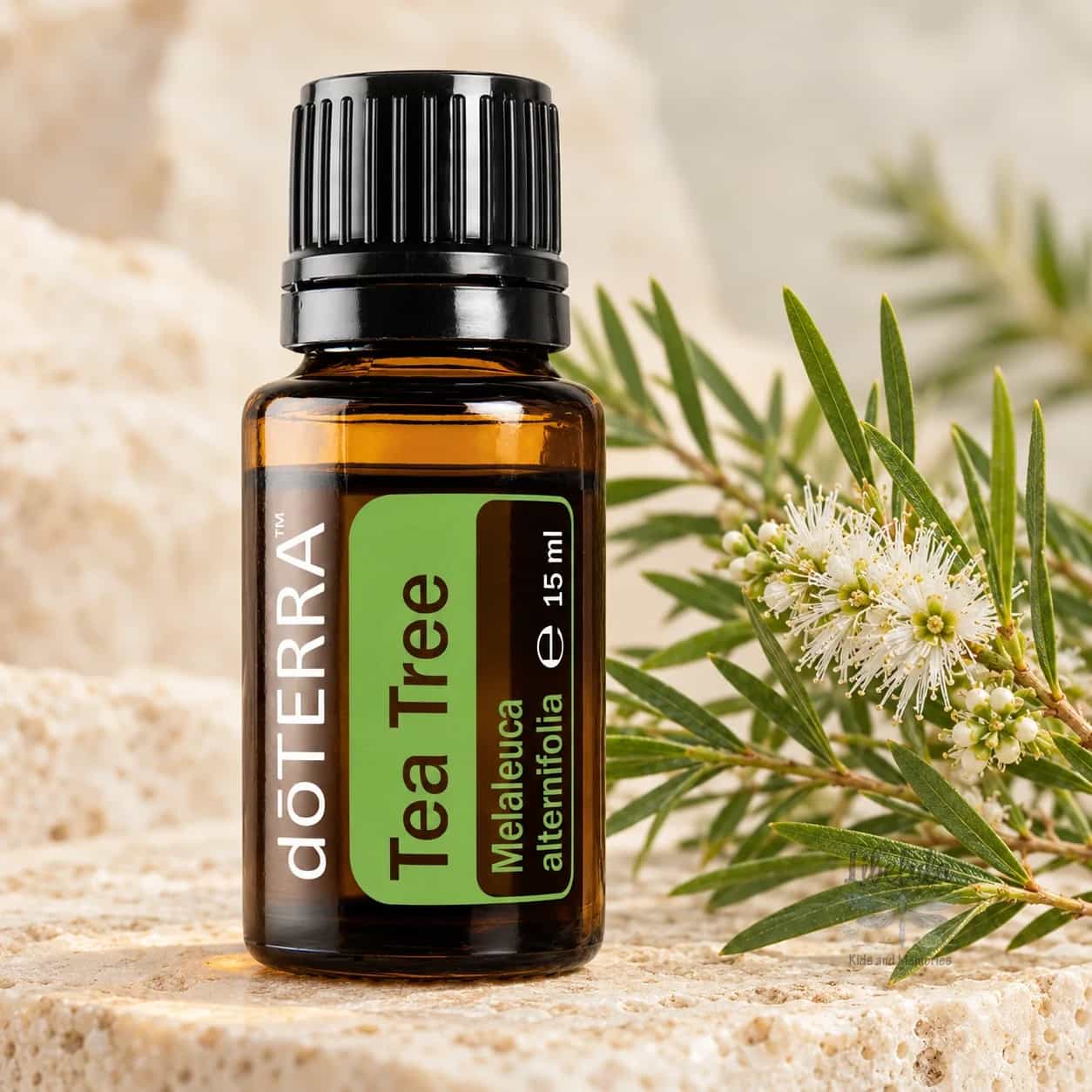 doTERRA Tea Tree (Melaleuca), esenciálny olej 15 ml